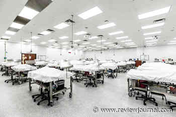 Cadavers serve as first patients for Touro medical students - Las Vegas Review-Journal