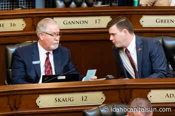 Idaho House committee approves bill to prohibit gender-confirmation medical treatment - Idaho Capital Sun