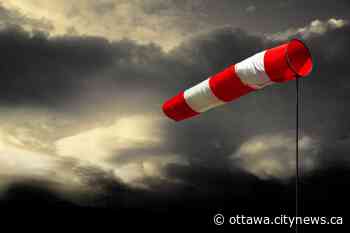 Thousands lose power in southern Ontario due to high winds - Ottawa.CityNews.ca