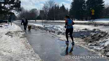 Ottawa weather: Double-digit high with a chance of showers - CTV News Ottawa