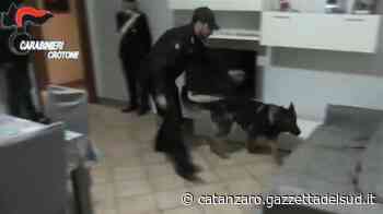 Droga dal Reggino spacciata a Crotone: definitive 3 condanne e un’assoluzione - Gazzetta del Sud - Edizione Catanzaro, Crotone, Vibo