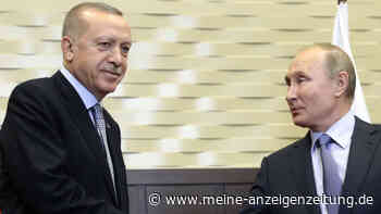Nach Erdogan-Gespräch: Putin nennt zwei Bedingungen für Frieden - US-Größen drängen auf heikle Lieferung