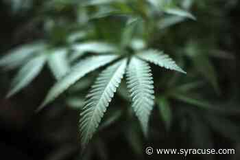 Upstate New York’s Cayuga Nation expands its legal marijuana business - syracuse.com