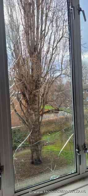 Taken by Storm - Wasim Alam - Lister Community School