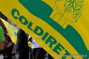 Coldiretti Vercelli-Biella: servono polizze assicurative contro danni da gelo - newsbiella.it