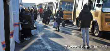 Colletta per aiutare i piccoli profughi ucraini, impegnati trenta esercenti del centro - Termoli Online