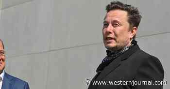 Governments Pressure Elon Musk to Turn His Assets Against Russia, He Tells Them to Bring a Gun Next Time