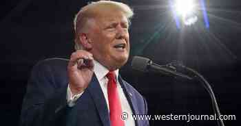 Trump's Suggestion on How to Handle Russia Would Pit Them Against China, And the Suggestion Is Setting Critics Off