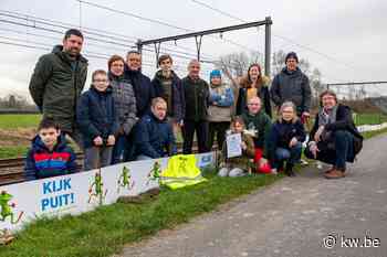 Dankzij 'Kijk Puit' staken in Lichtervelde al 212 kikkers, padden en salamanders veilig de weg over - KW.be - KW.be