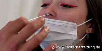 Corona in Ascheberg: 58 Neuinfektionen zu Donnerstag - deutlich gestiegene Inzidenz - Halterner Zeitung