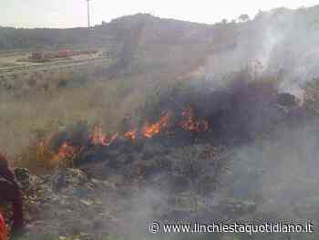 Formia, uso controllato del fuoco e pascolo pilotato contro la piaga degli incendi estivi - L'Inchiesta Quotidiano OnLine