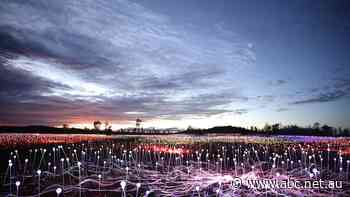 Trips to the light fantastic: Locals are hoping Lake Cullulleraine display wins approval to help transform region