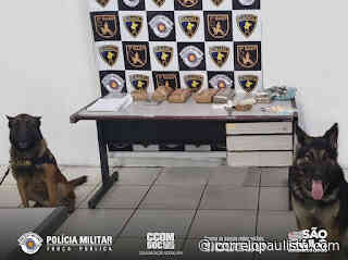 Polícia prende duas mulheres em Cotia com drogas escondidas em uma geladeira - Correio Paulista