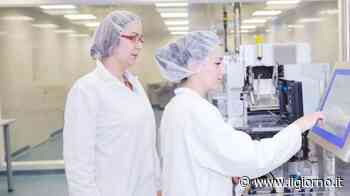 Dieci commerciali nel settore medicale da inserire ad Arcore - IL GIORNO