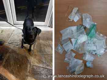 Police dog sniffs out cocaine, ketamine and cannabis in Burnley venues