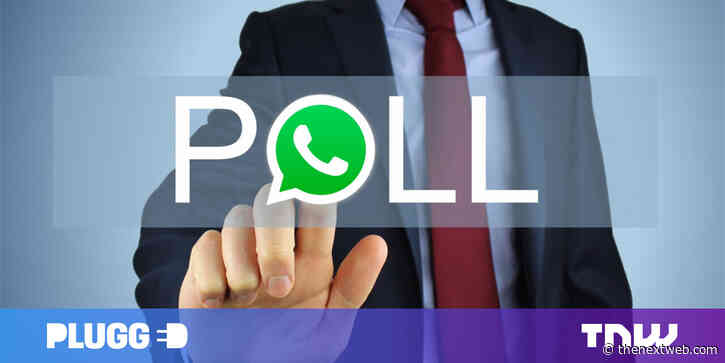 WhatsApp’s upcoming polls feature will be way more useful than you think