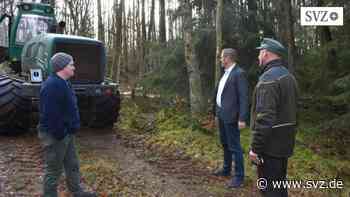 Sturmschäden in Parchim: Aufräumarbeiten im Stadtwald von Parchim dauern etwa sechs Wochen - svz – Schweriner Volkszeitung