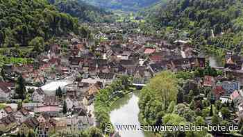 ELR-Förderung für Sulz - Projekte in Kernstadt und Ortsteilen werden finanziell unterstützt - Schwarzwälder Bote