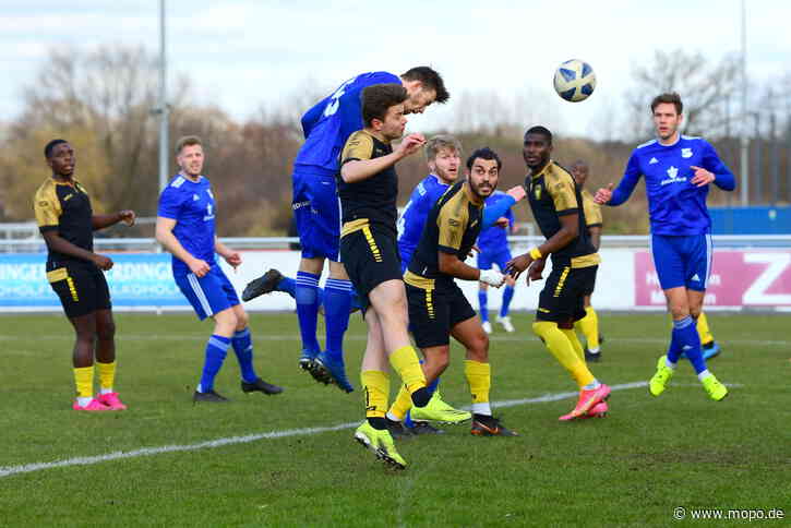 3:0 im Abstiegskracher! Tornesch schießt Meiendorf ab - Mopo.de