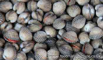 Man arrested over unlicensed shellfish operation