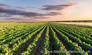 Sustainable sourcing: the challenges