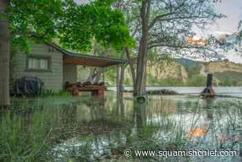 Chute Creek flume dispute between Naramata neighbours being sent to trial - Squamish Chief