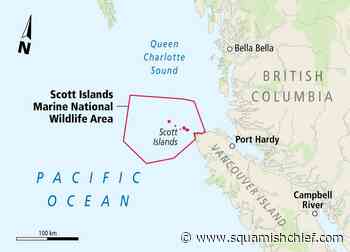 Environmental group calls for tighter rules around ship dumping - Squamish Chief