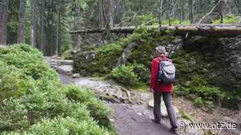 Kahlaer Wanderfreunde zieht es zur Weißenburg