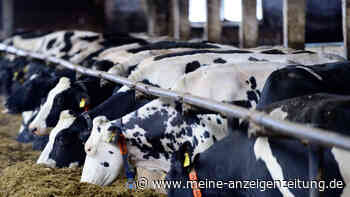 Aldi will Zeichen setzen – und plant eine Änderung beim Fleisch ab Sommer