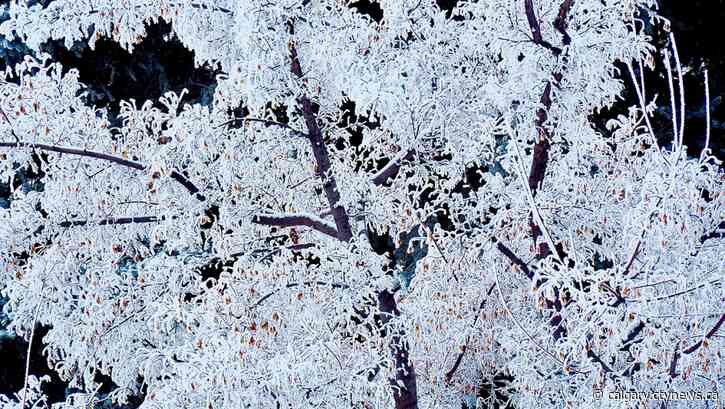 Skiff of snow and a chill to kick the week off in Calgary