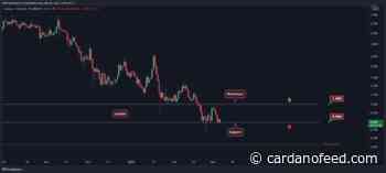 ADA at Decision Point, Huge Move Incoming? - Cardano Feed