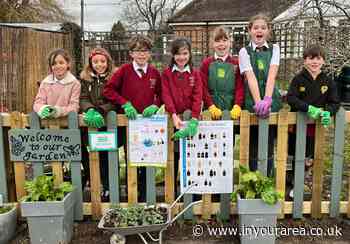 Farnham primary school receives grants for community gardening project - In Your Area