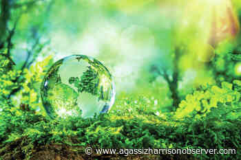 Weekly sessions on sustainability offered by UFV in Chilliwack, Abbotsford and online – Agassiz Harrison Observer - Agassiz Harrison Observer