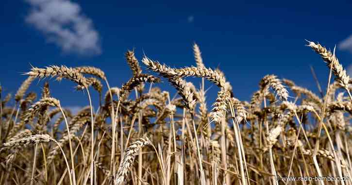 Ukraine-Krieg könnte weltweit Menschen in den Hunger treiben