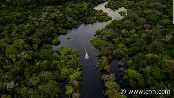 Amazon near tipping point of shifting from rainforest to savannah,  study suggests