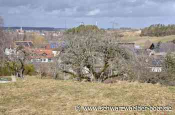 Aufreger in Schramberg - Werden schwierige Themen in nichtöffentliche Sitzungen verschoben? - Schwarzwälder Bote