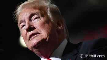 Group trying to disbar lawyers who worked on Trump's post-election lawsuits