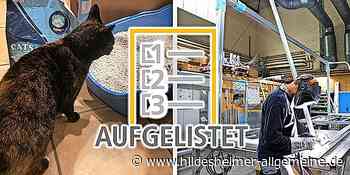 Neun Unternehmen aus der Region Hildesheim, die Marktführer sind - www.hildesheimer-allgemeine.de