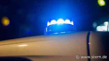 Landkreis Hildesheim: Toter Hund in Säcke gewickelt abgelegt - STERN.de