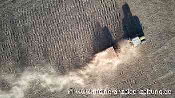 Wetter in Deutschland: Schon jetzt steigende Waldbrandgefahr – Meteorologe befürchtet Dürre-März