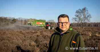 Waarom gemalen steen heideveld 'Paardenslenkte' in Hezingen extra boost geeft: 'Hopen op terugkeer verdwenen planten en dieren' - Tubantia