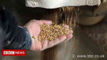 Ukraine war 'catastrophic for global food'