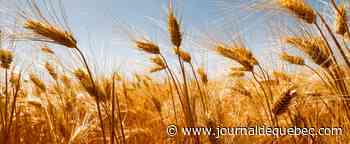 Ukraine et Russie, clés de matières premières stratégiques