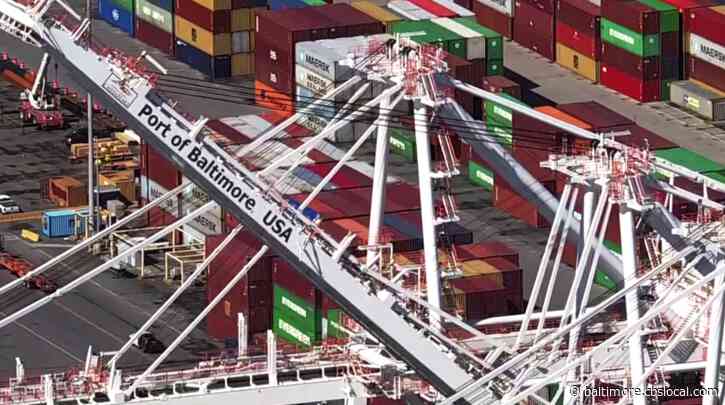 ZIM Shipping Line Bringing New Route Focused On E-Commerce To Port Of Baltimore, Officials Say