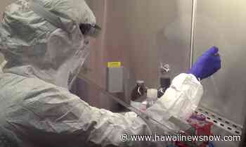 State reports 92 new coronavirus cases, bringing total to 237,455 - Hawaii News Now