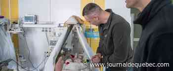 Les frères Klitschko au chevet des nouveau-nés de Kyïv