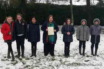 Carlibar Primary pupils praised for Wee Wood project - Barrhead News