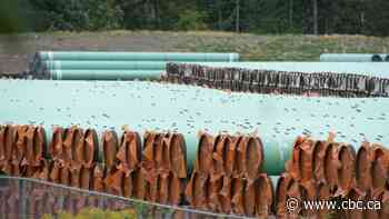 Indigenous groups still aim to buy Trans Mountain pipeline, even as costs soar