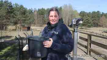 Aktion zum Frauentag im Wildpark Schorfheide - Nordkurier