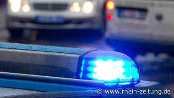 Kontrolle am Schlossrondell – Diensthund stelle Flaschenwerfer – Versuchter Automatenaufbruch – Autoposter bekommt Post - Rhein-Zeitung